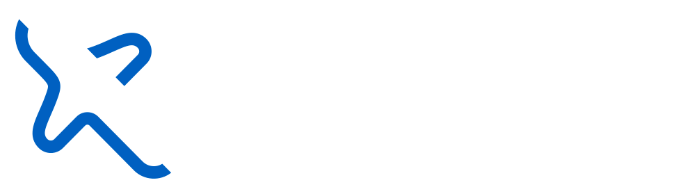 bravofly logo